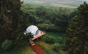 Green Noise Glamping