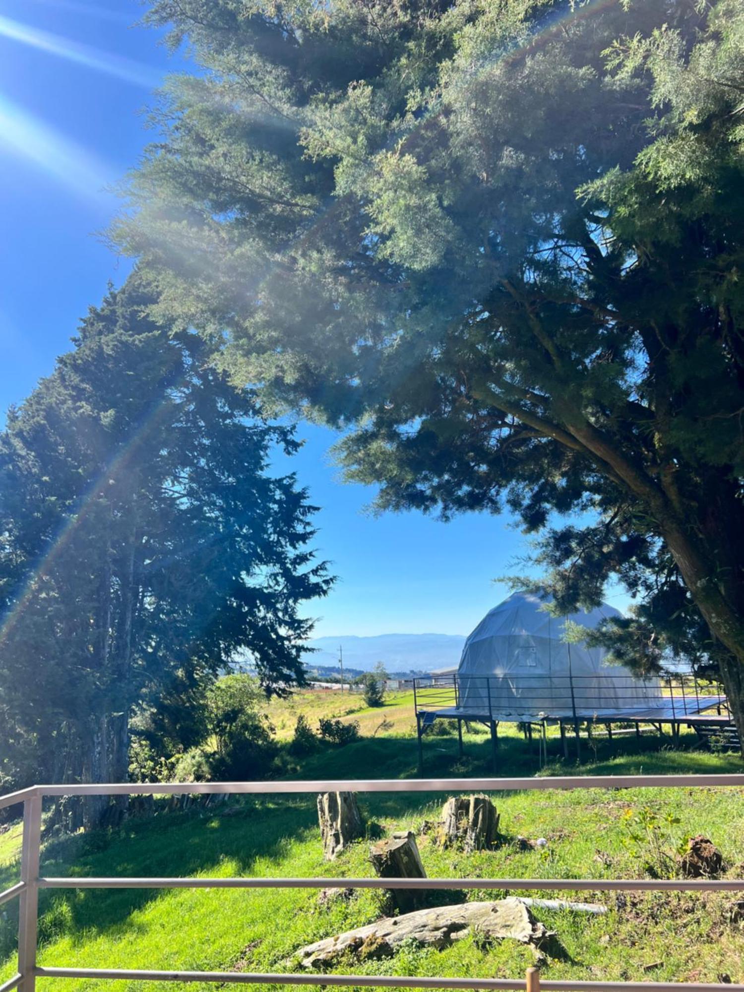 Green Noise Glamping Fraijanes Extérieur photo